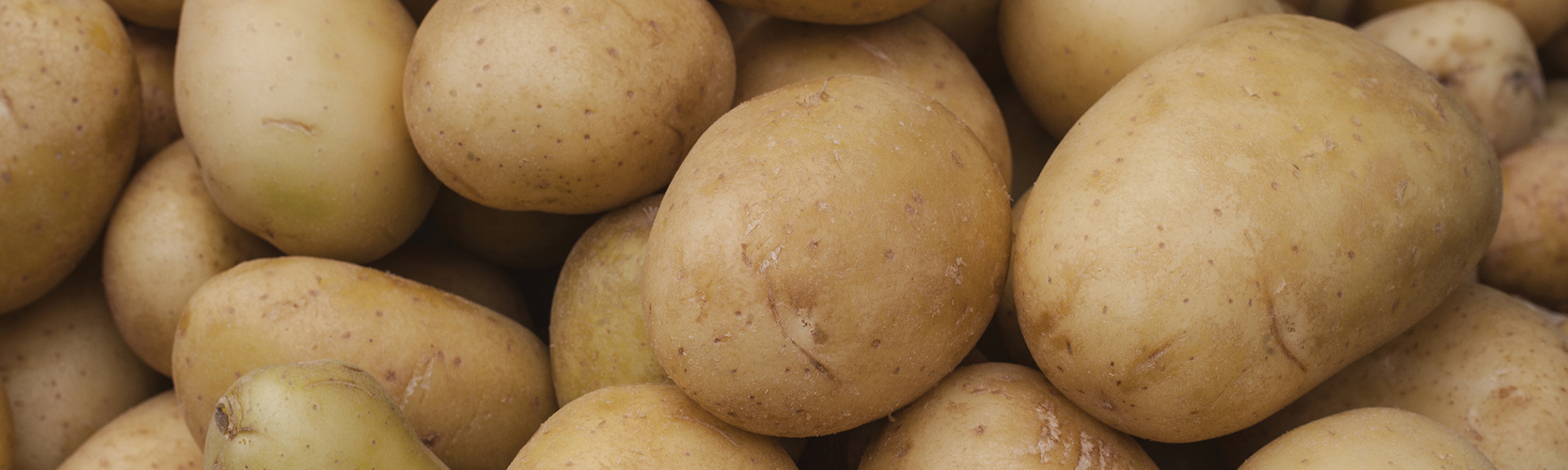 Potato